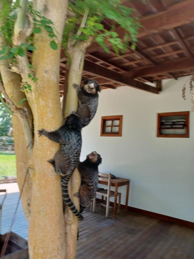 Manjuba Pousada - Taipu de Fora Taipus de Fora Exterior foto